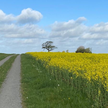 Blomstertantens Hus Trelleborg Eksteriør bilde