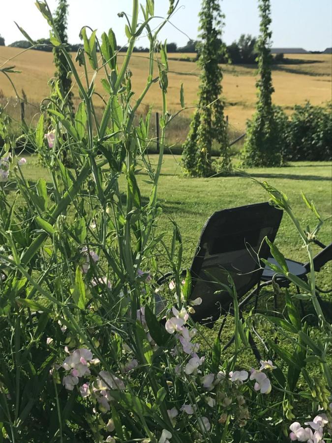 Blomstertantens Hus Trelleborg Eksteriør bilde