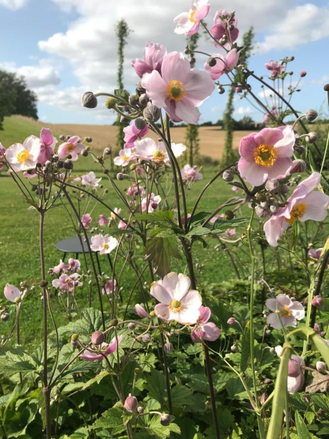 Blomstertantens Hus Trelleborg Eksteriør bilde