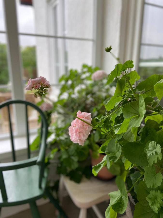 Blomstertantens Hus Trelleborg Eksteriør bilde