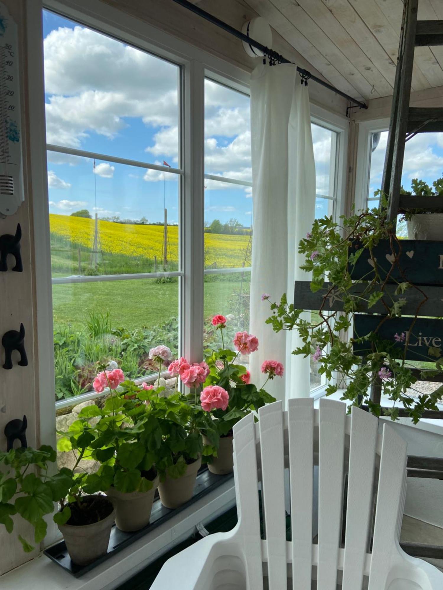 Blomstertantens Hus Trelleborg Eksteriør bilde