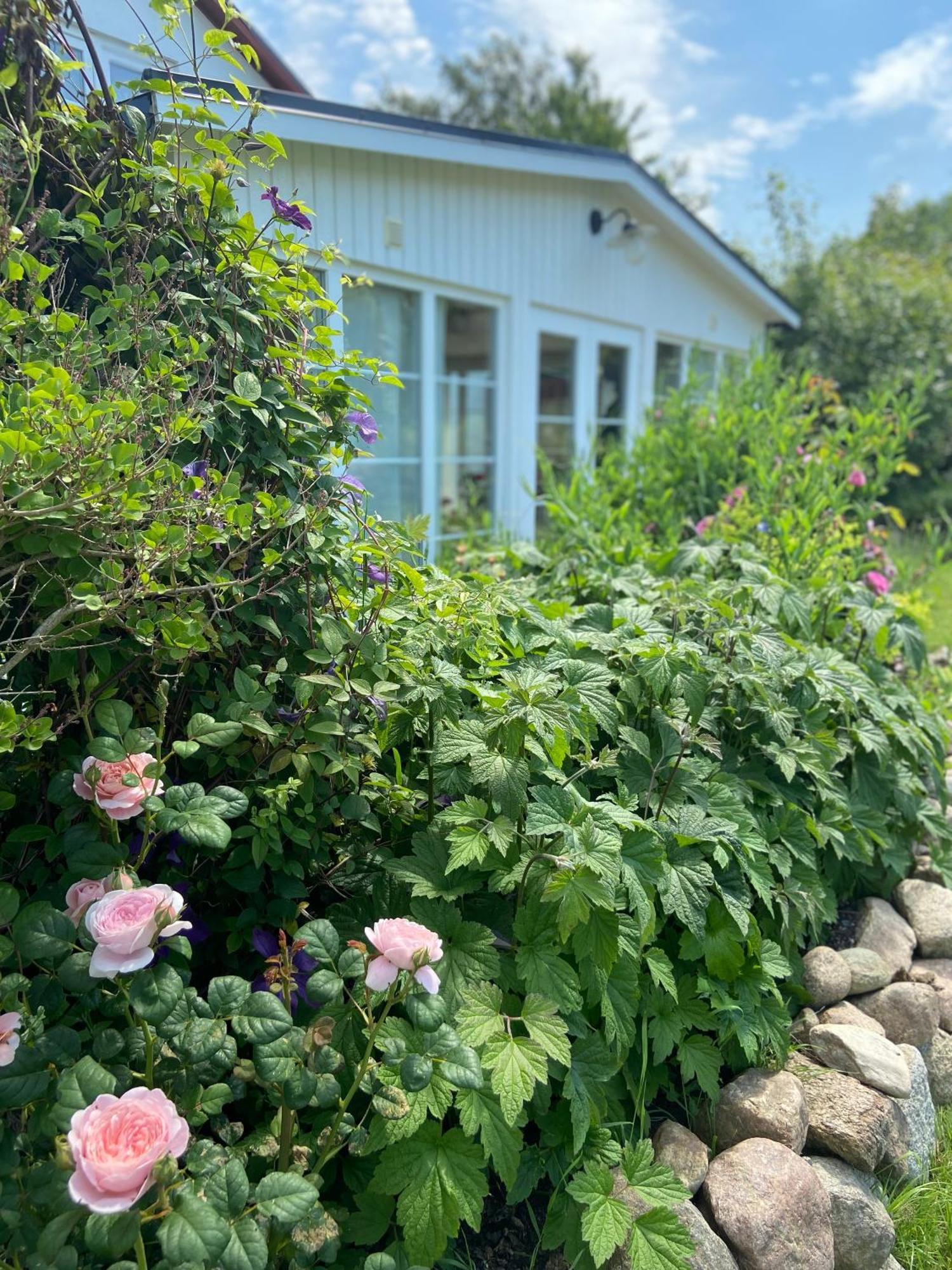 Blomstertantens Hus Trelleborg Eksteriør bilde