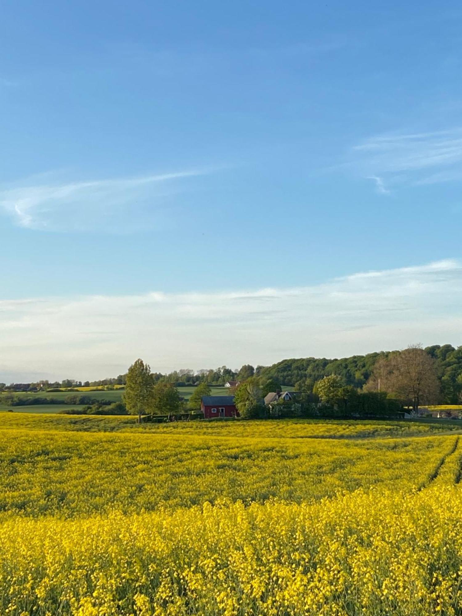 Blomstertantens Hus Trelleborg Eksteriør bilde