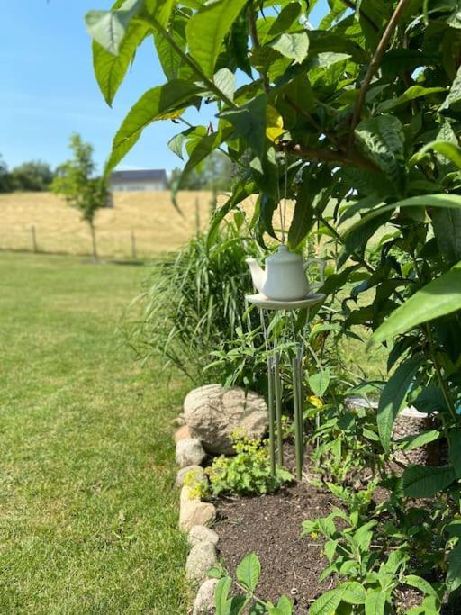 Blomstertantens Hus Trelleborg Eksteriør bilde