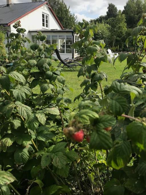 Blomstertantens Hus Trelleborg Eksteriør bilde