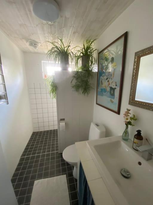 Blomstertantens Hus Trelleborg Eksteriør bilde